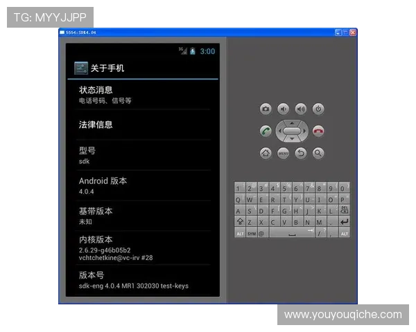 开云手机入口下载安装教程，详细步骤让你轻松掌握游戏模拟器的使用方法